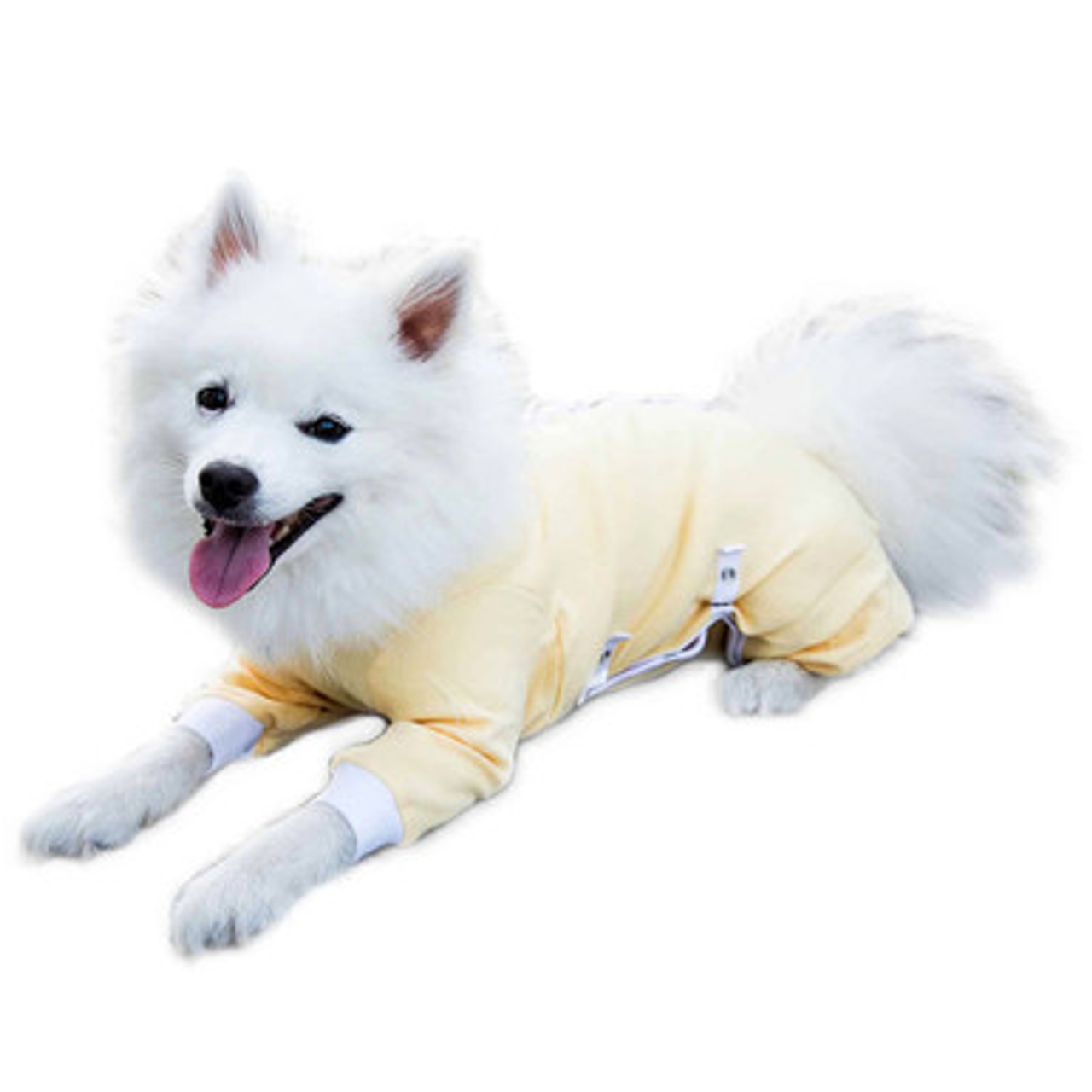 Cover Me by Tui for Dogs - S002548B002751P000002V051