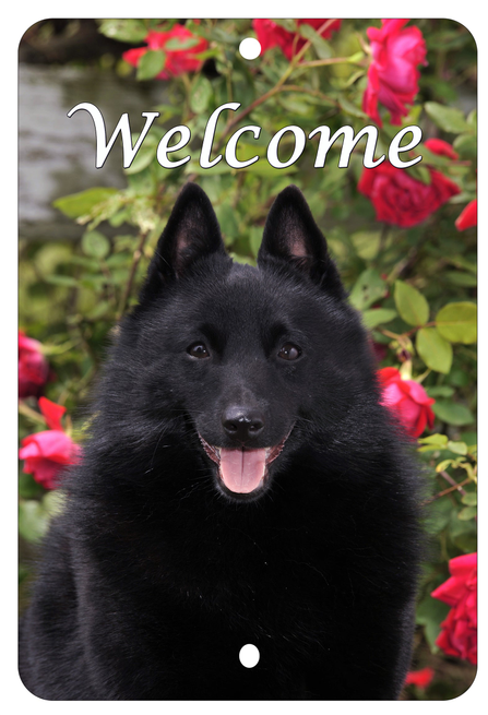 Schipperke - Best of Breed  Indoor/Outdoor Aluminum Sign