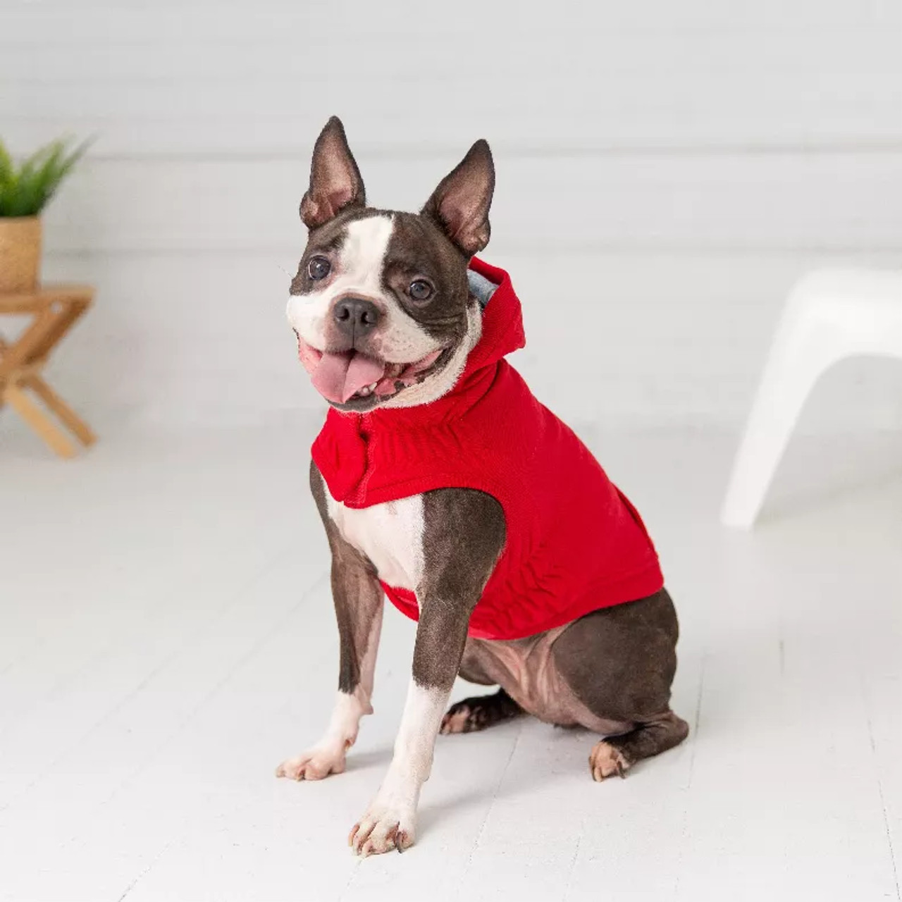 GF Pet Elasto-Fit Urban Dog Hoodie - S000568B001688P000004V008