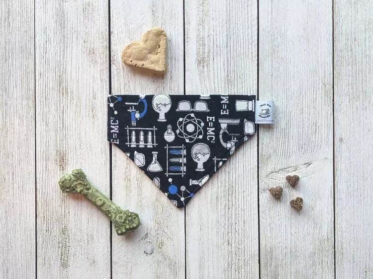 Over-The-Collar Dog Bandana - S001544B002104P000004V082