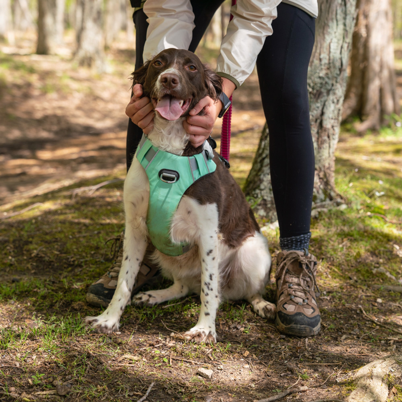 Millvue EZ Fit Dog Harness - S002463B002743P000022V028