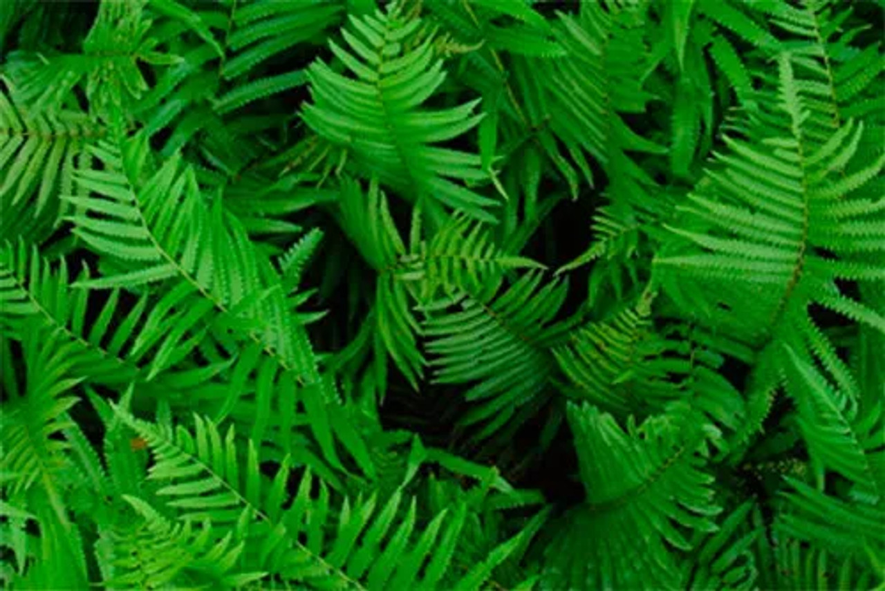 230234410.webp 230234410.webp