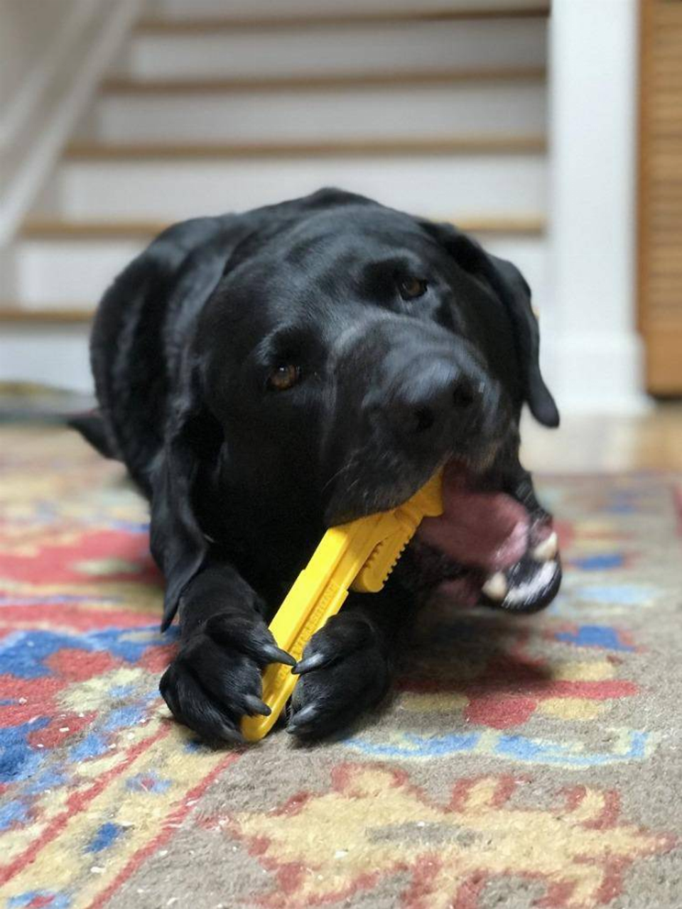 ID Pipe Wrench  Ultra Durable Nylon Dog Chew Toy for Aggressive Chewers