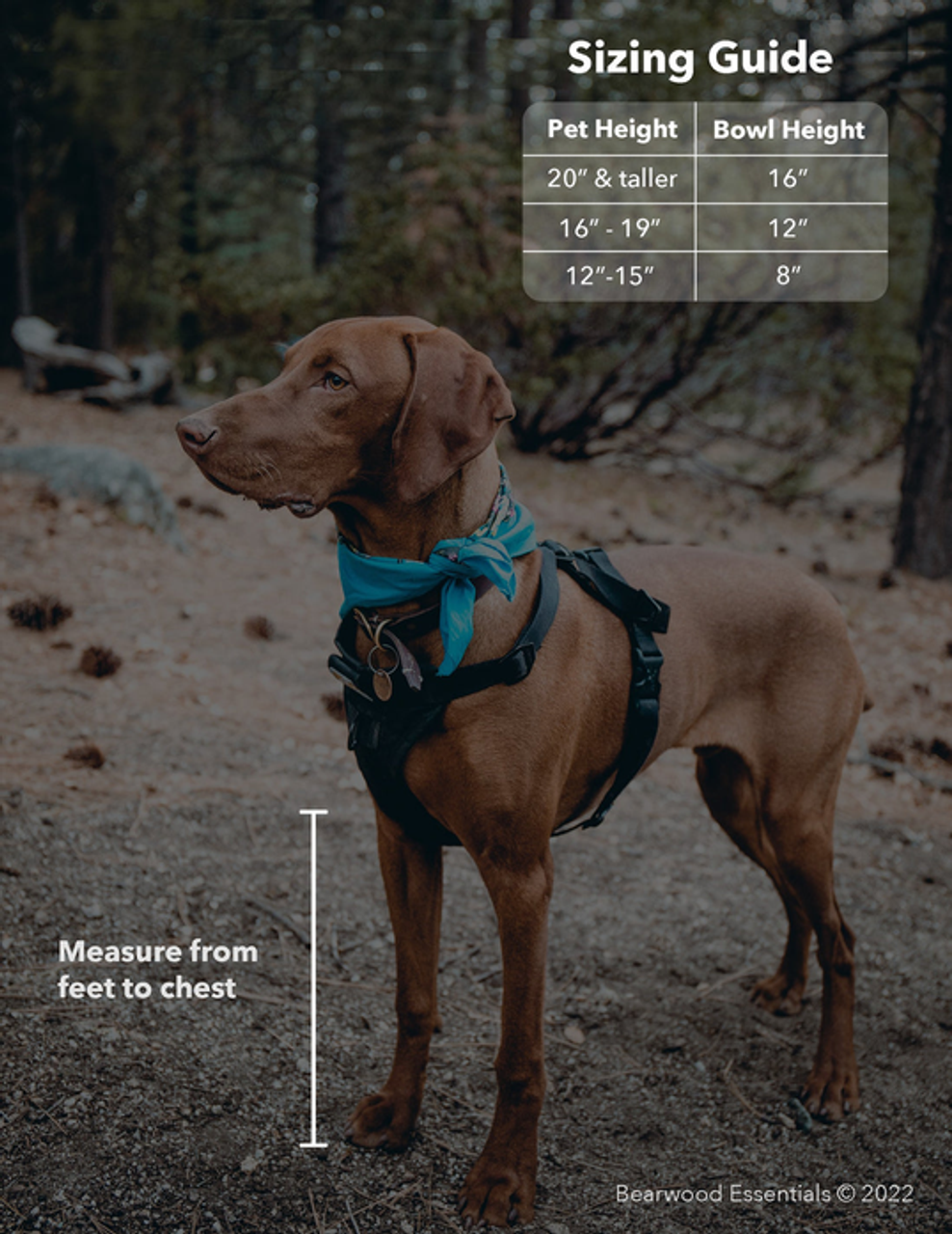 Farmhouse 2 Bowl Elevated Regular Feeder - S002434B002668P000002V006