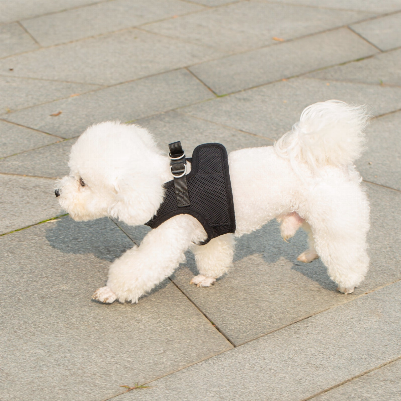 Mr. Peanut's PupTrek Small Dog/Cat Soft Mesh Step In Harness Vest - S001935B002421P000114V000
