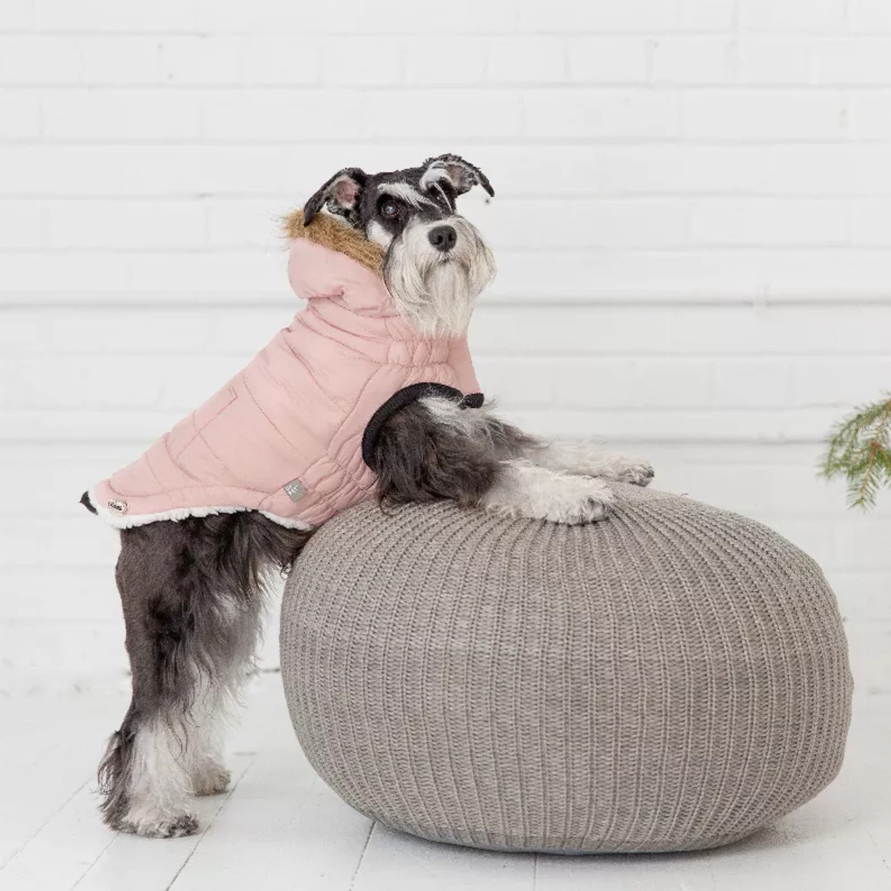 GF Pet ElastoFit Urban Dog Parka - S000568B001688P000020V011