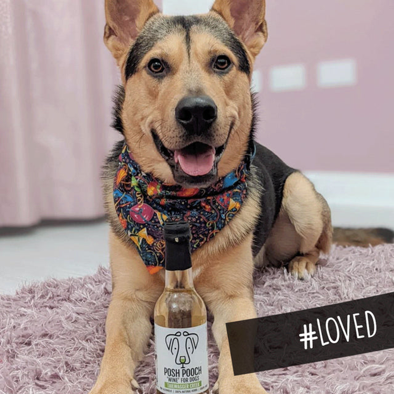 Posh Pooch Dog Wine Duo Pack
