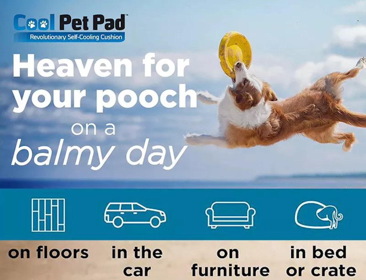 Cool Pet Pad - S001250B001897P000017V005