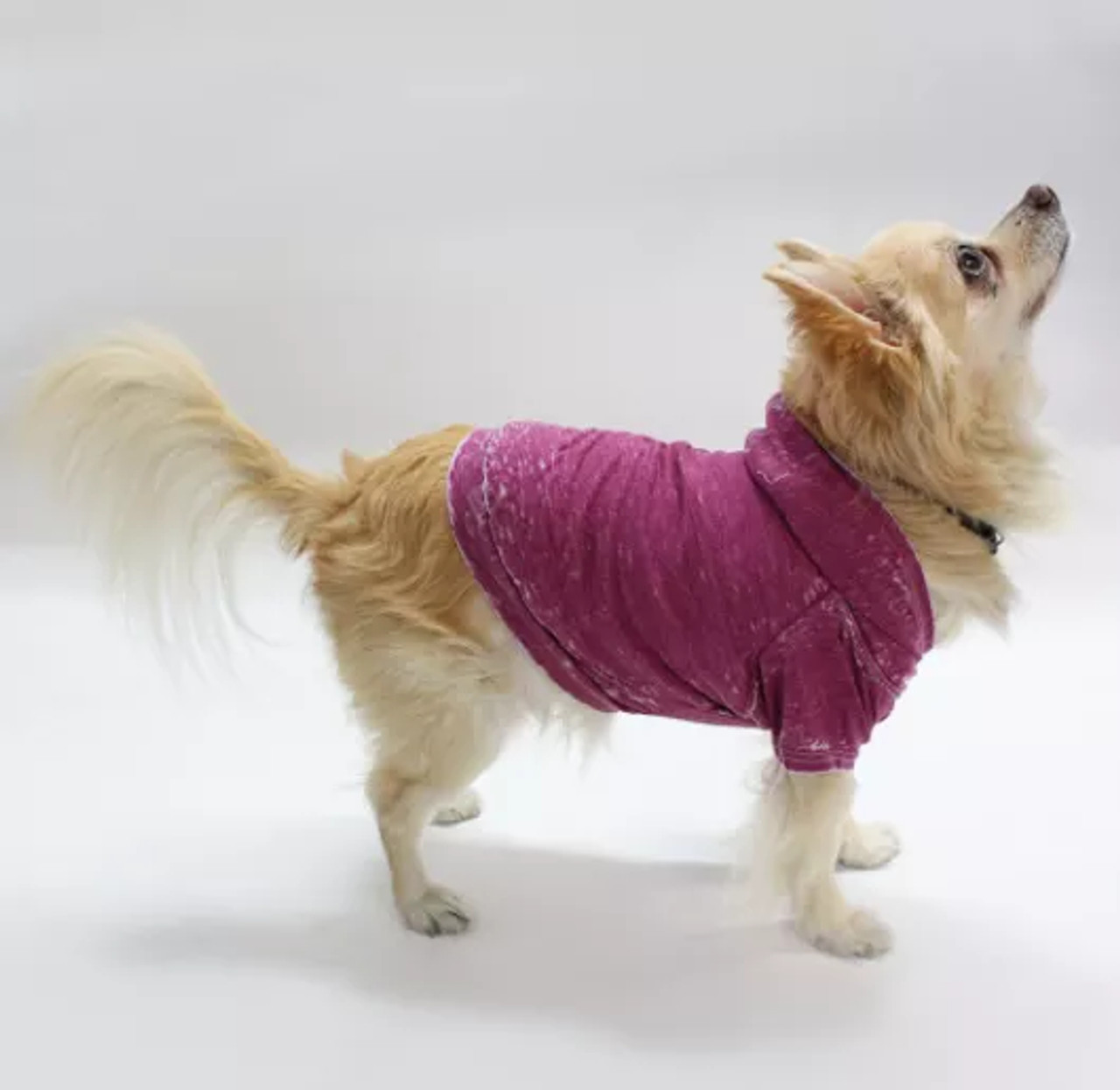 Doggy Hoodie - S000341B001390P000002V038