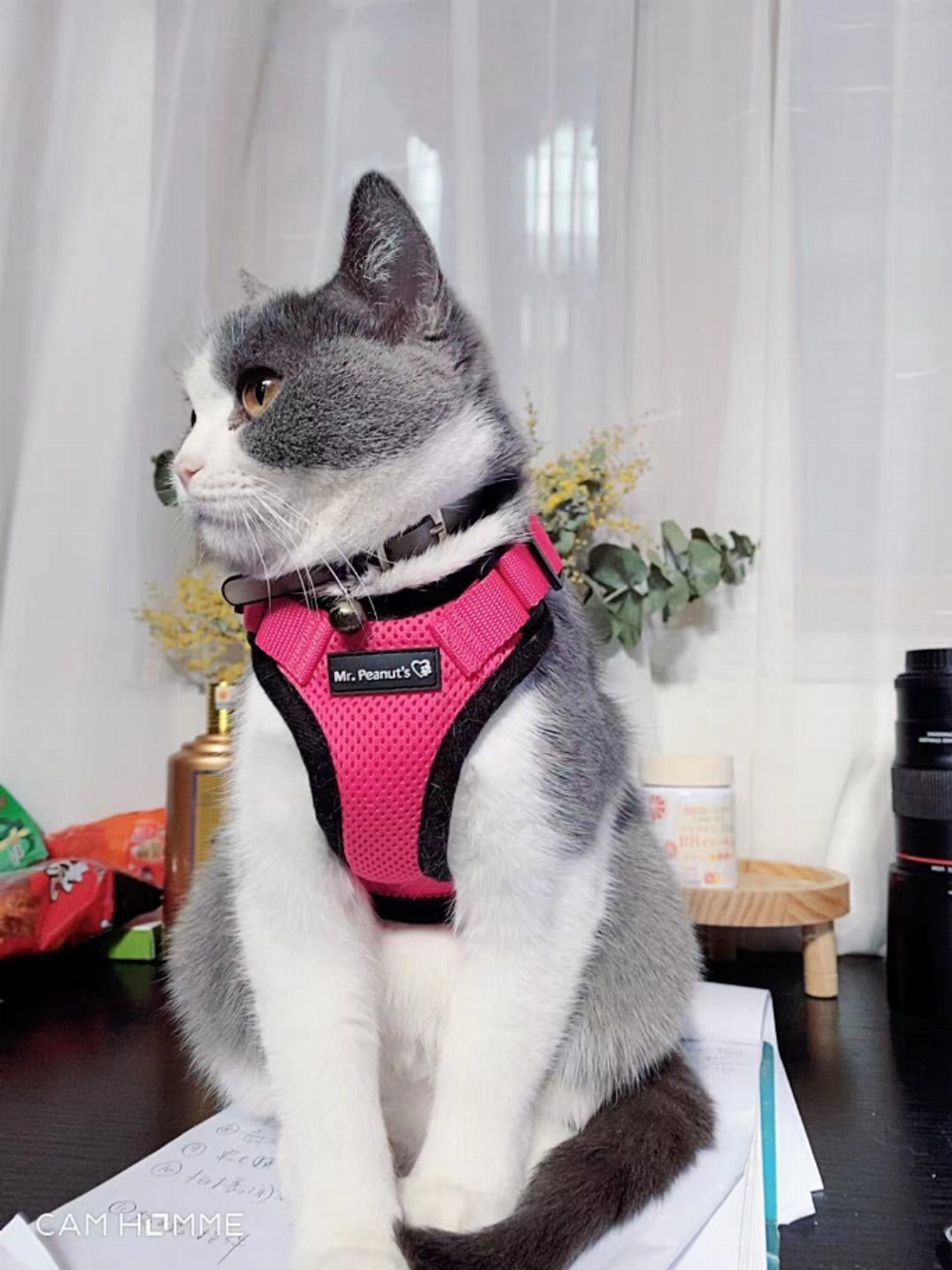 Mr. Peanut's PurrTrek Reflective Cat Harness with Matching Leash - S001935B002421P000131V000