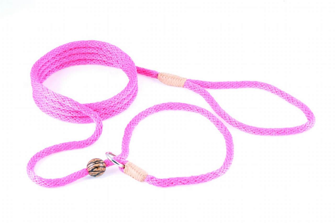 Alvalley Nylon Slip Lead With Stopper - S001009B001760P000009V044