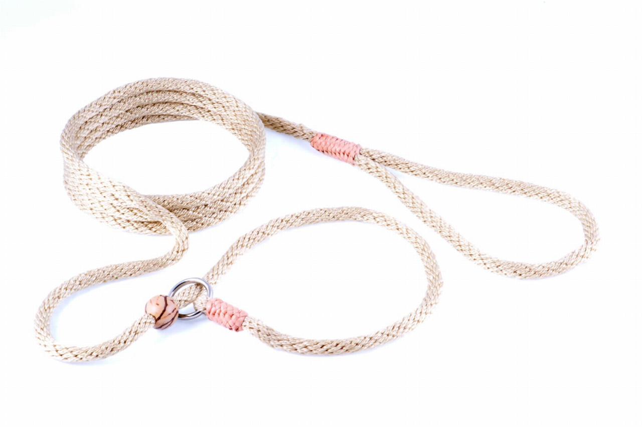 Alvalley Nylon Slip Lead With Stopper - S001009B001760P000009V040