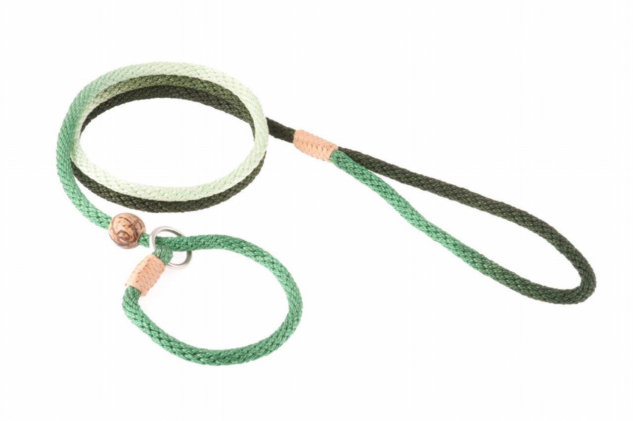 Alvalley Nylon Slip Lead With Stopper - S001009B001760P000009V036