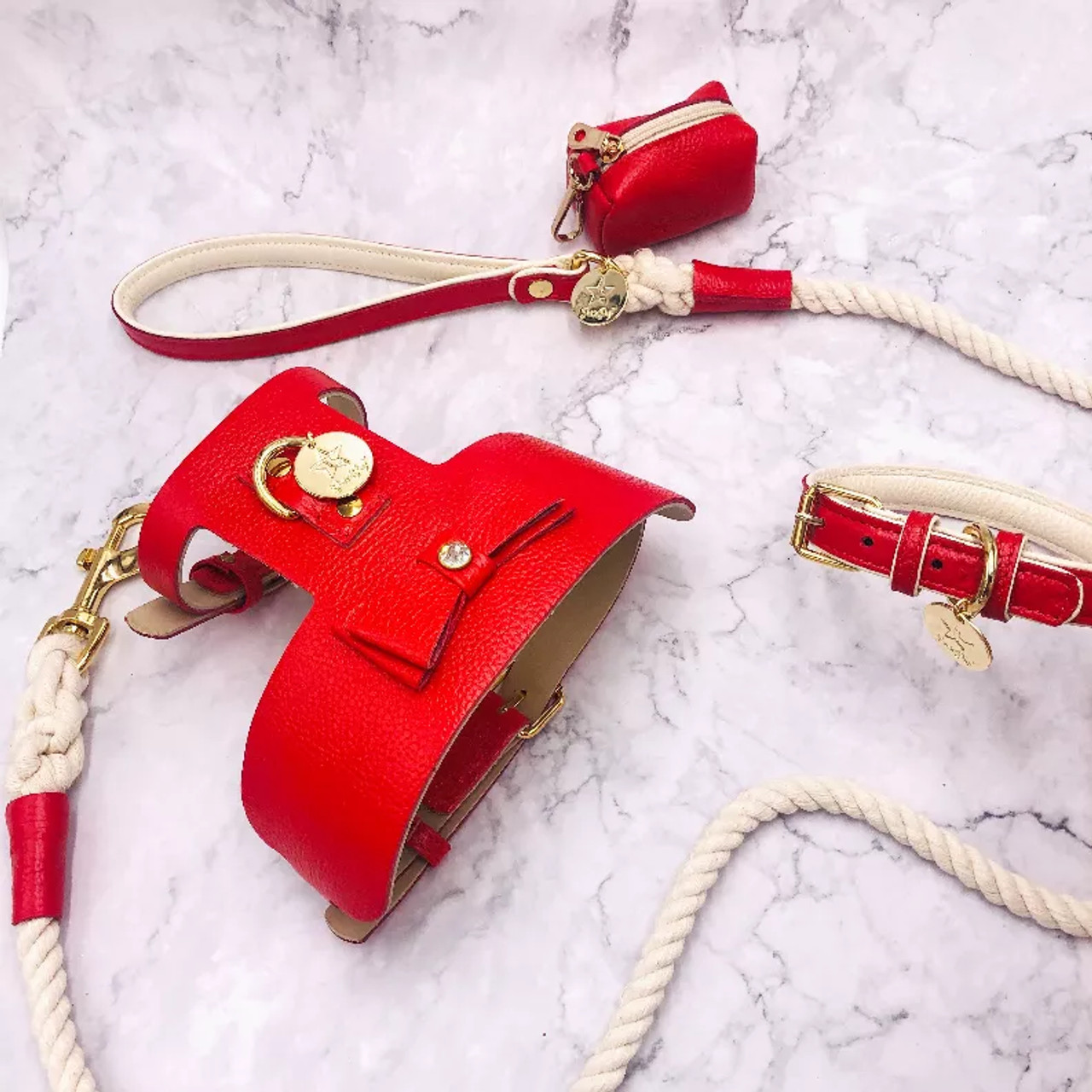 Dog Collar - S001473B002001P000003V051