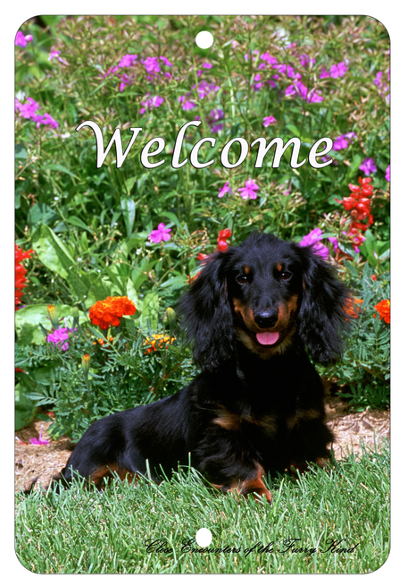 Dachshund Black/Tan Longhair - Best of Breed  Indoor/Outdoor Aluminum Sign