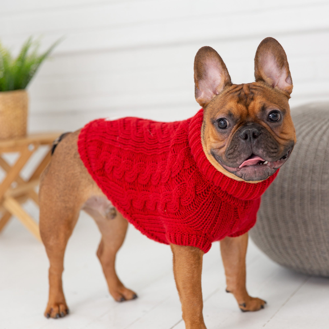 GF Pet Chalet Dog Sweater - S000568B001688P000003V004