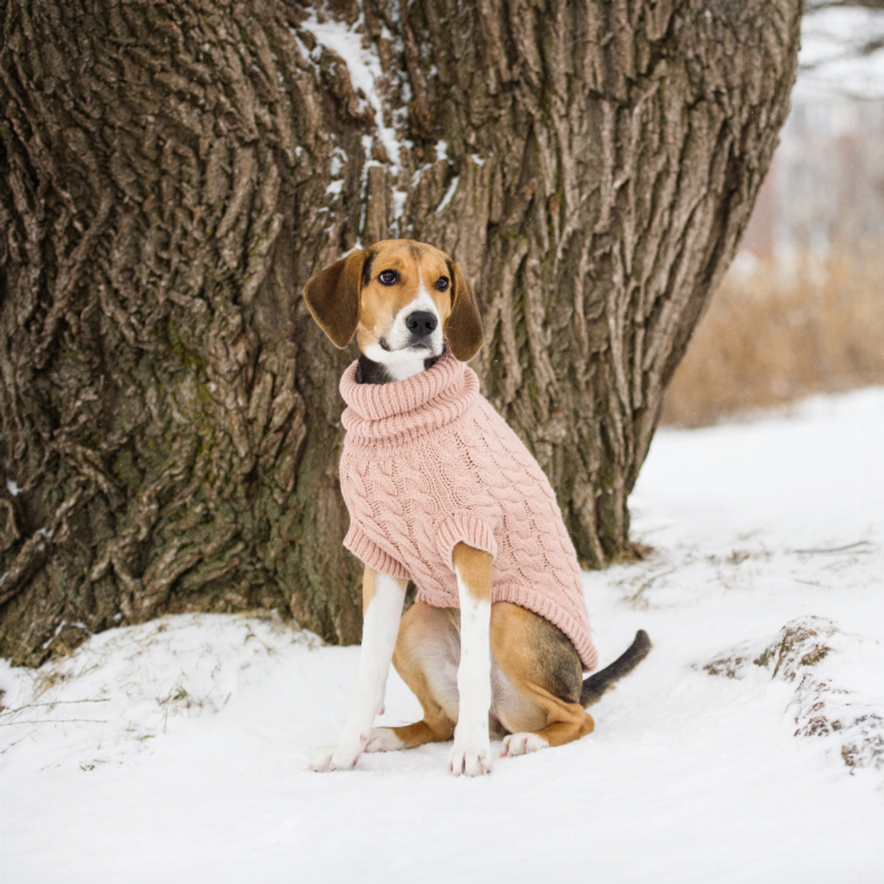 GF Pet Chalet Dog Sweater - S000568B001688P000003V025