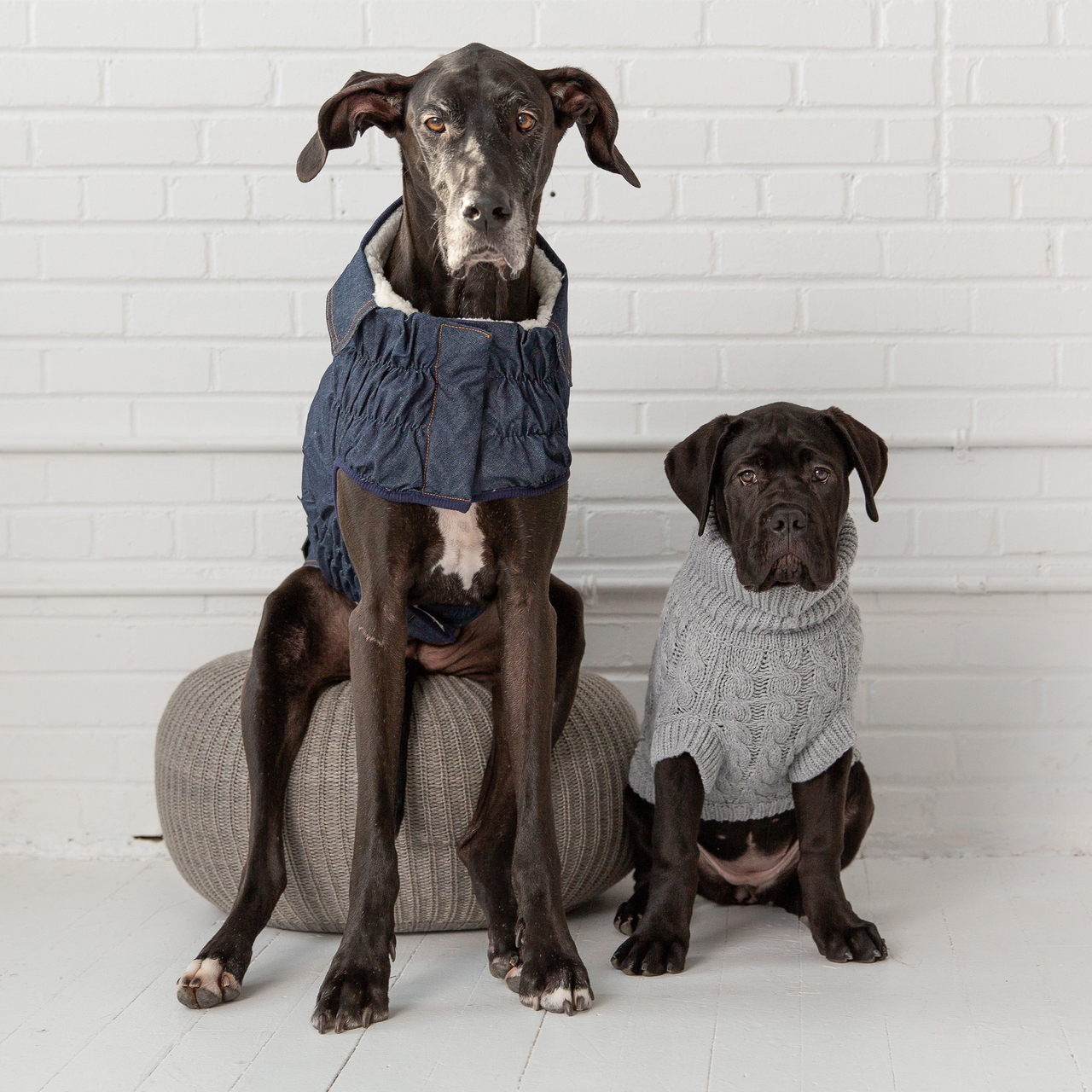 GF Pet Chalet Dog Sweater - S000568B001688P000003V019