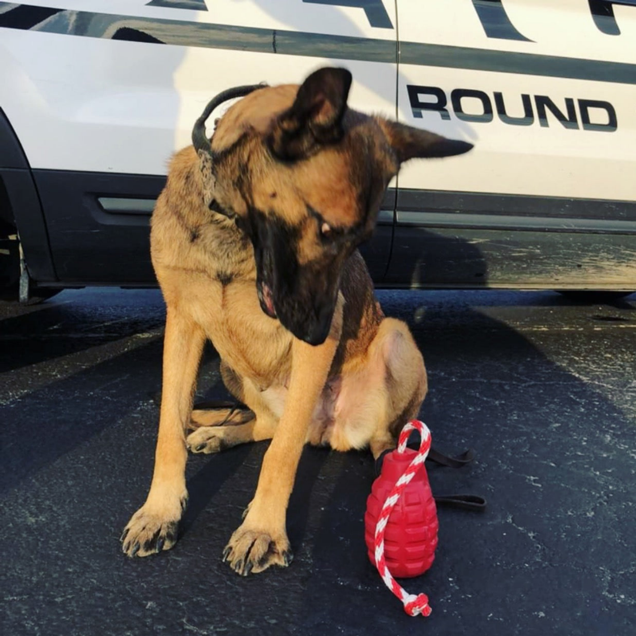 USA-K9 Grenade Durable Rubber Chew Toy, Treat Dispenser, Reward Toy, Tug Toy, and Retrieving Toy - S000056B000345P000054V000