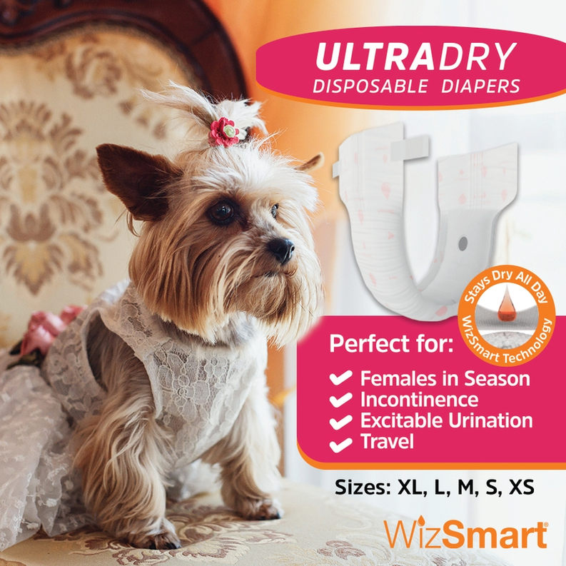 WizSmart UltraDry Disposable Diapers - S000149B002759P000003V001