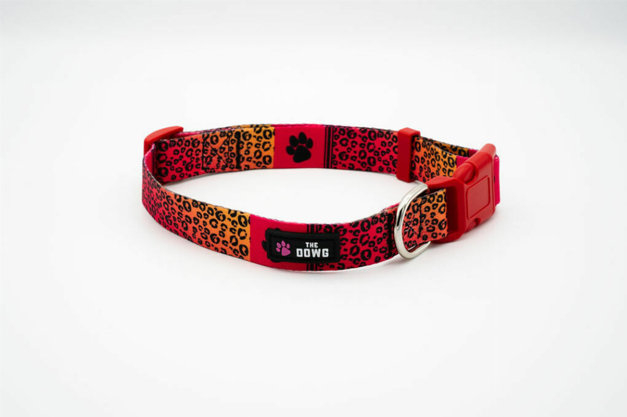 The Dowg Dog Collar - S000862B001821P000004V022