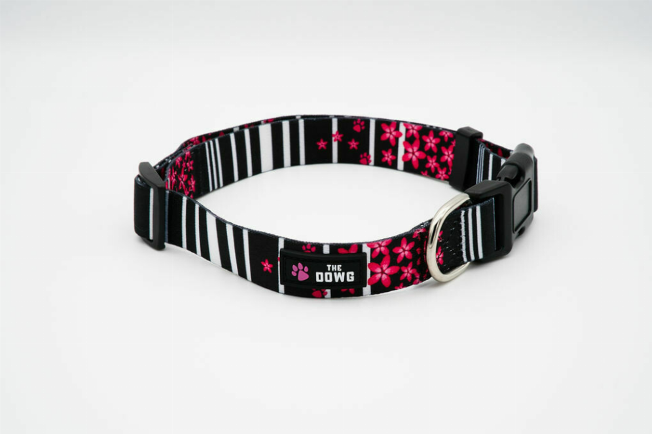 The Dowg Dog Collar - PPP_COLL-3