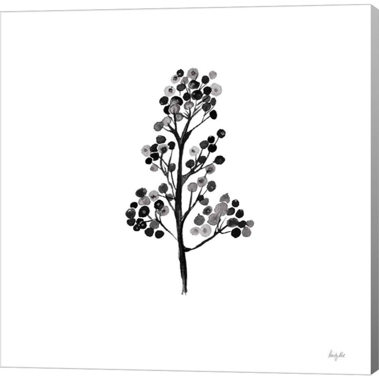 Botticelli Plant IV Black by Kristy Rice, Canvas Art