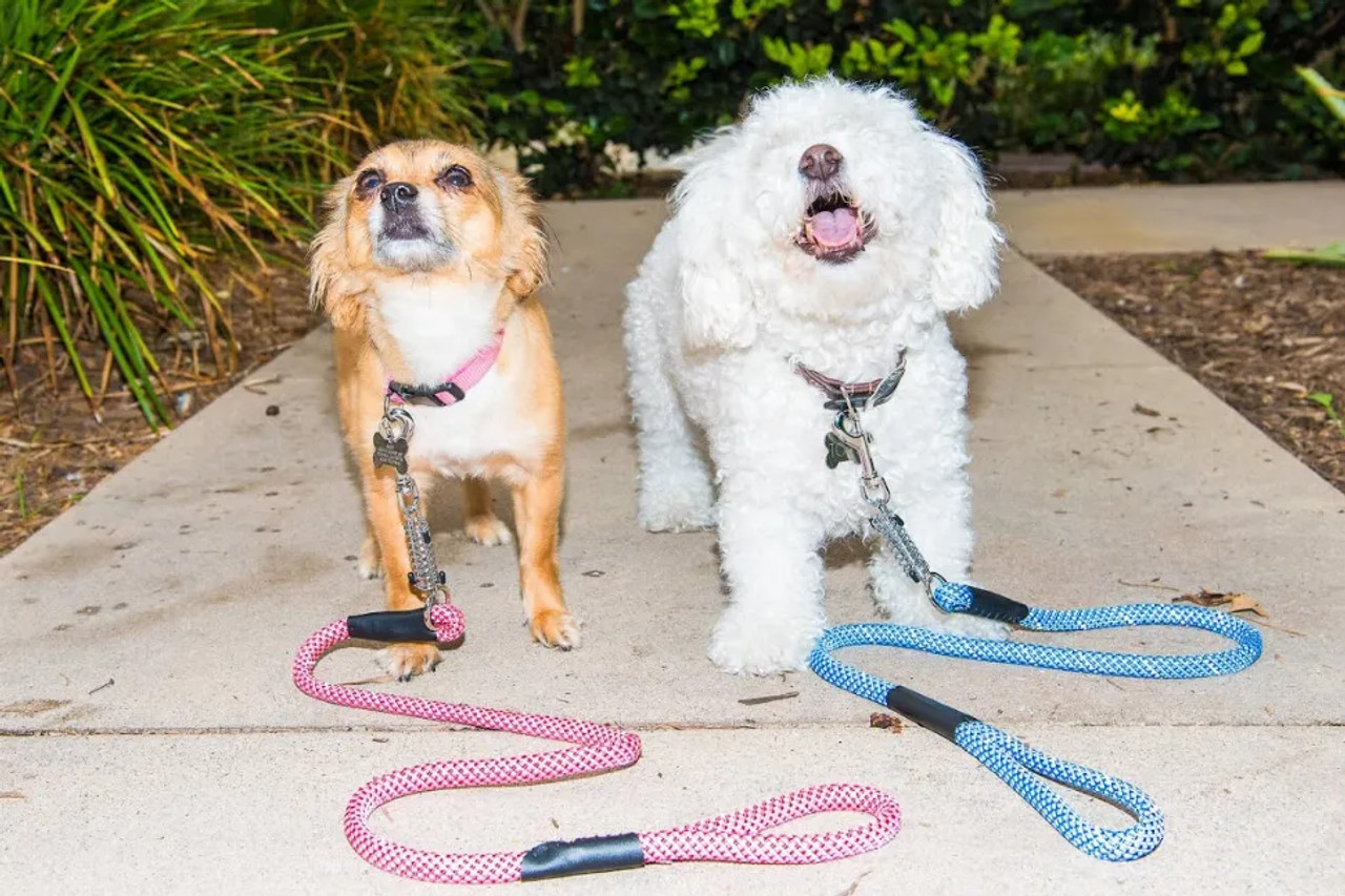 Tug Control Leash with Reflectors & Shock Absorber - S000649B001467P000012V004