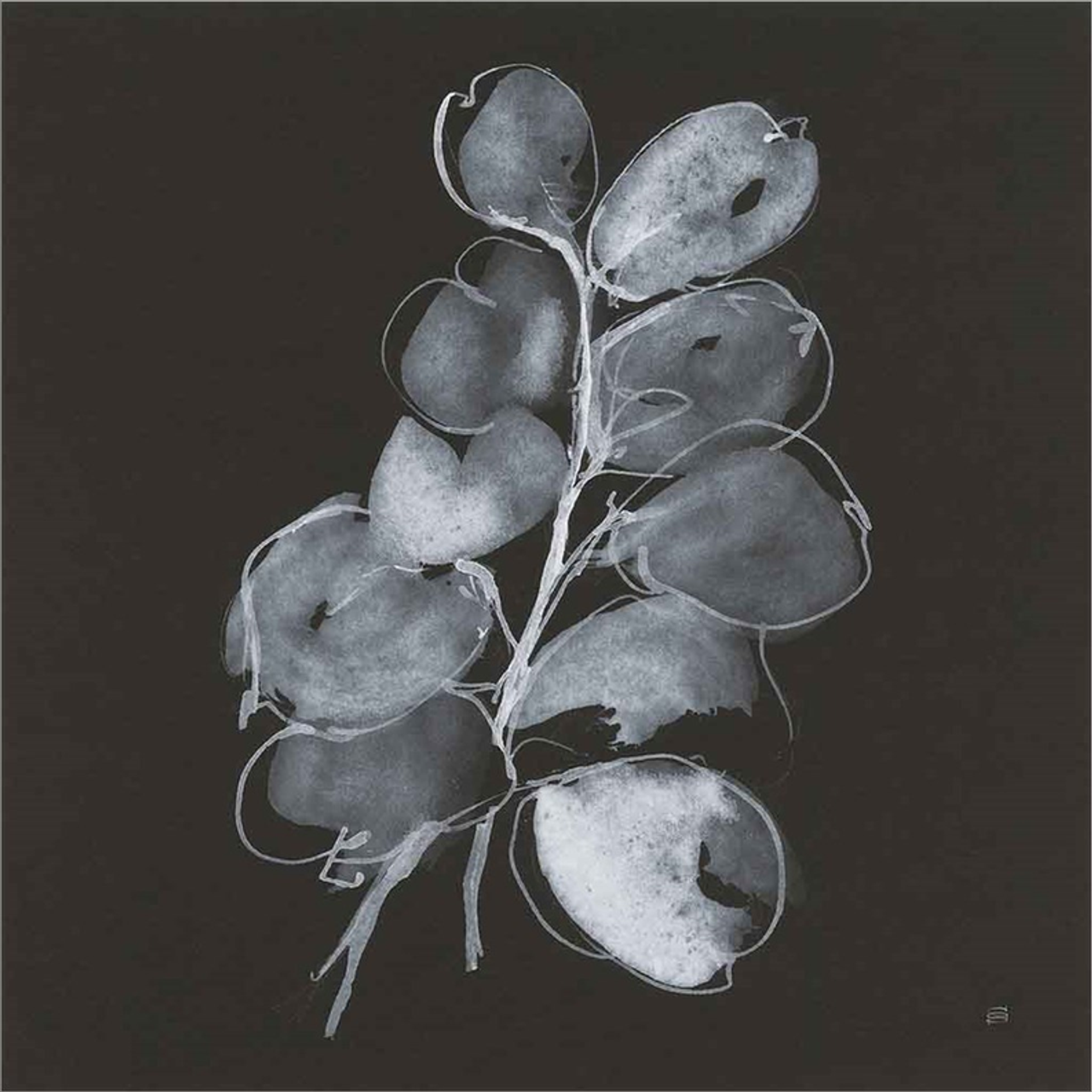 White Eucalyptus II by Chris Paschke, Canvas Art - C1079996-0240000-8CAAAMA