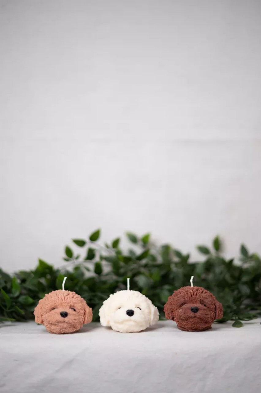 WauWau Collection - 12821288-2