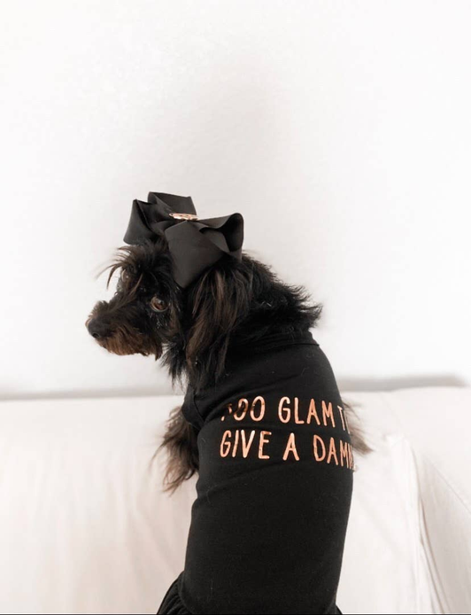 Too Glam to Give a Damn - S002142B002493P000741V005