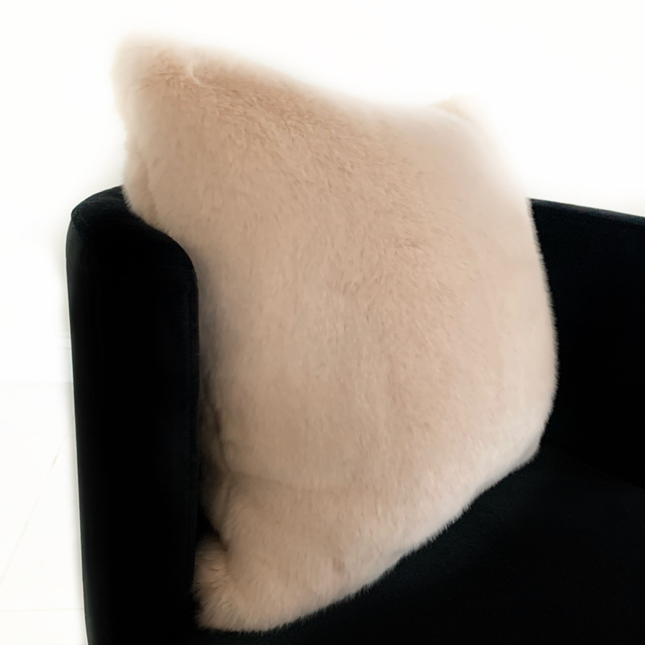 160155075.png