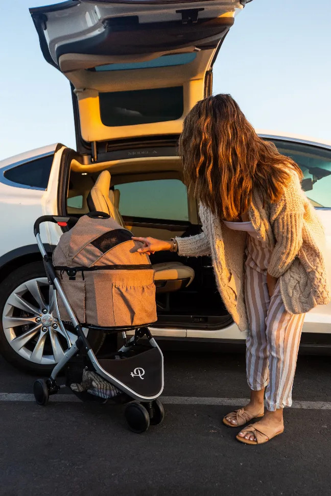 Newport Pet Stroller (3-in-1 Travel System) - S000649B001467P000049V002