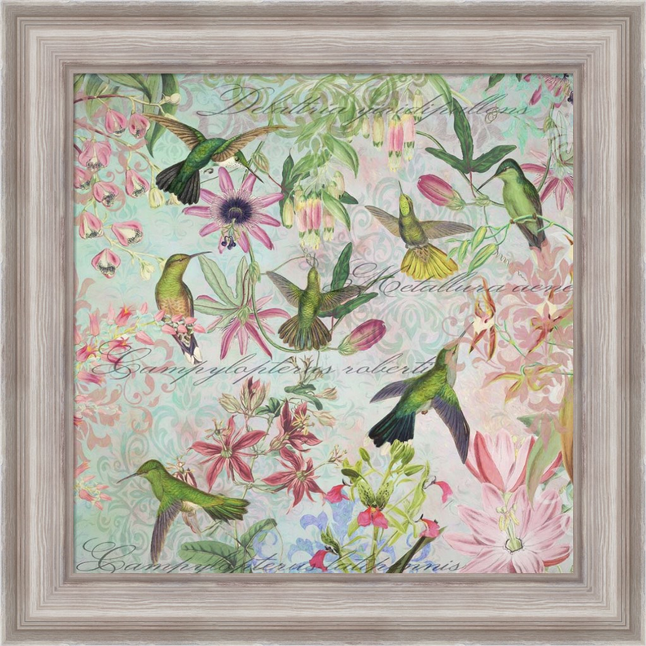 Hummingbird Arabesques by Cora Niele, Framed Wall Art