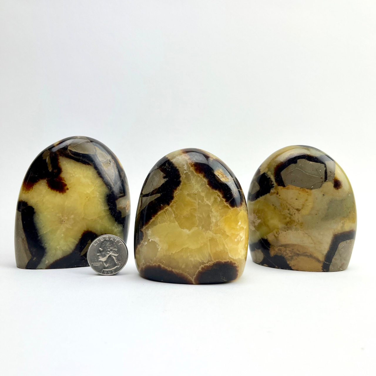 Septarian "Dragon Stone" | Freeform Statue | Choose Size | Madagascar