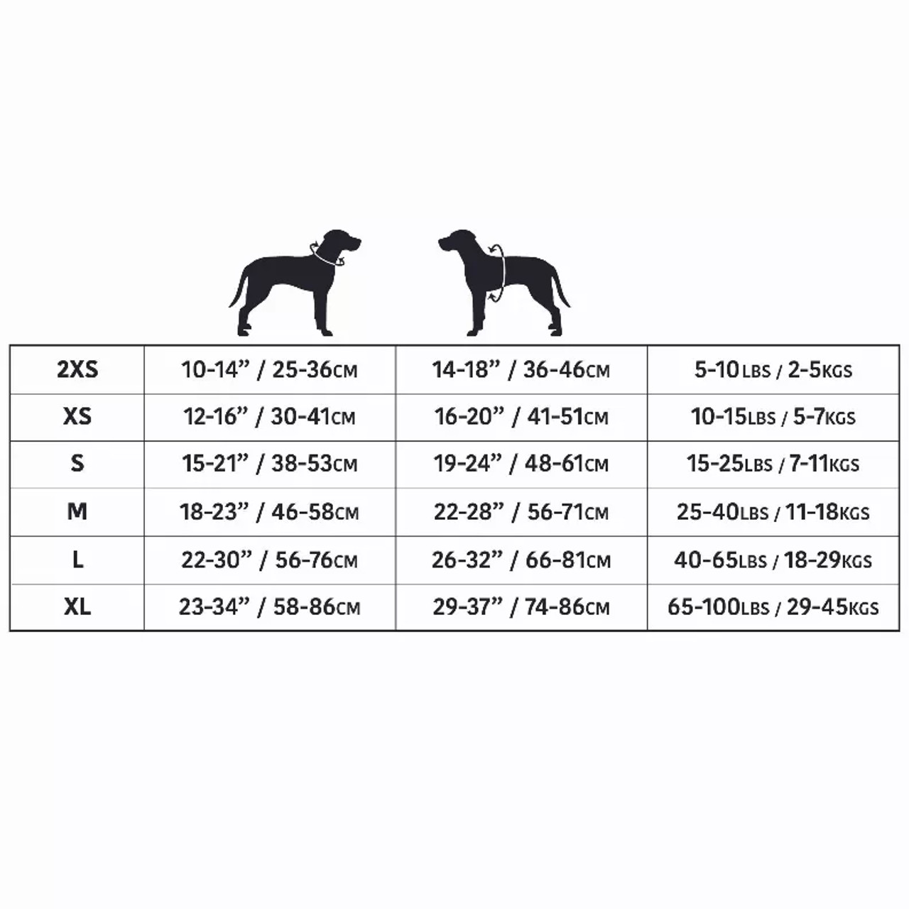 229003798.webp 229003798.webp