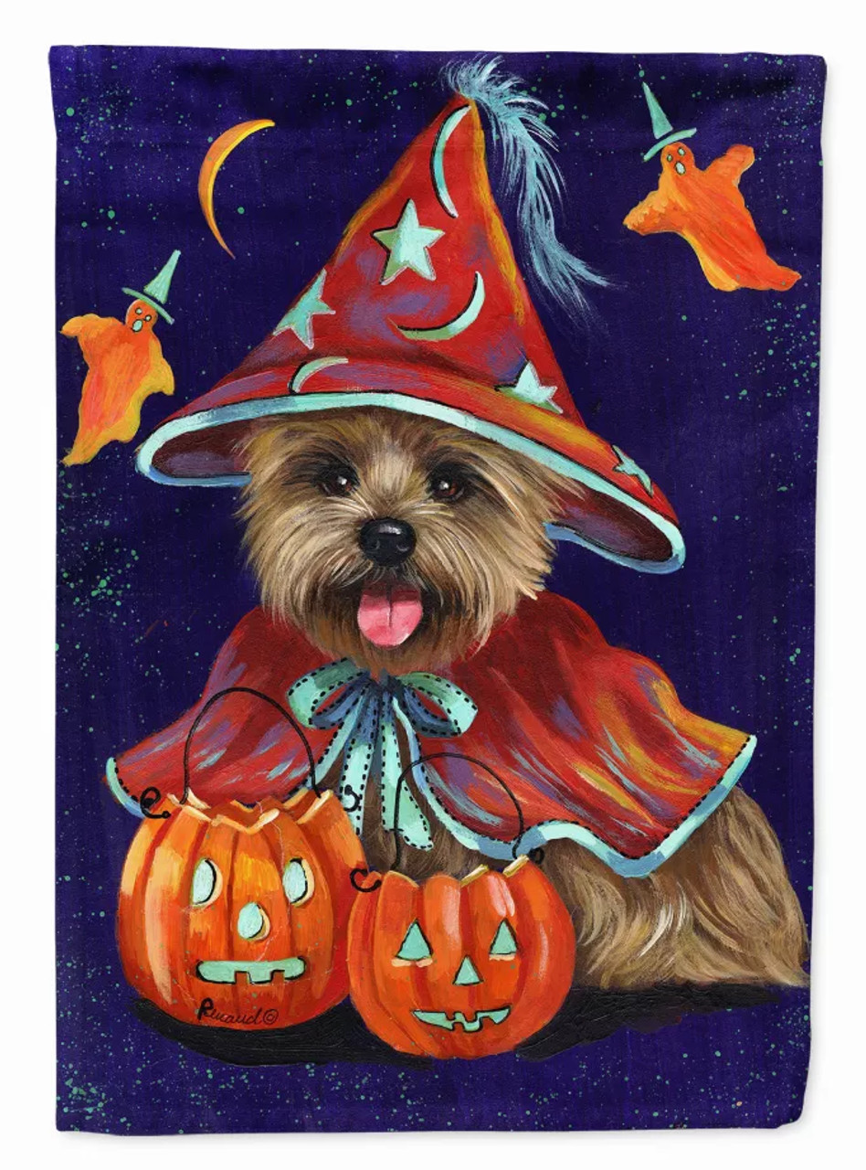 Halloween Dog Art Flag Canvas - S000213B001695P001558V028