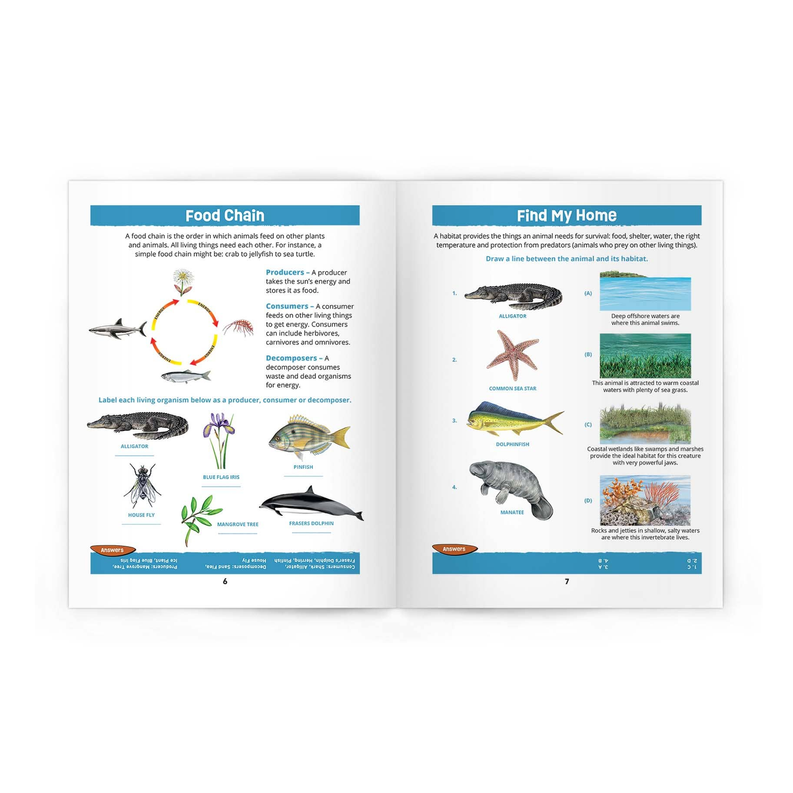 Texas Seashore Life Nature Activity Book