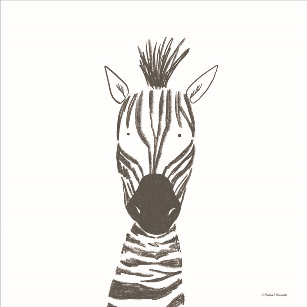 Zebra Line Drawing by Rachel Nieman, Canvas Art - C1080741-0120000-AAAACMA