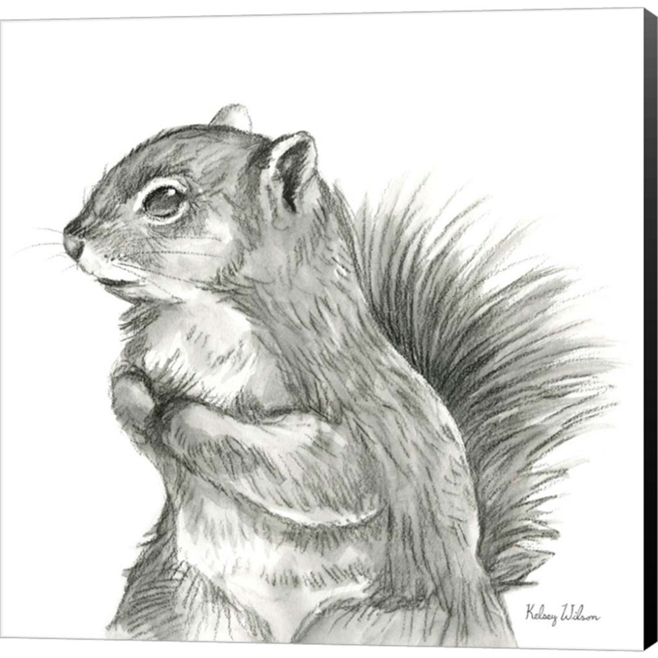 Watercolor Pencil Forest IV-Squirrel by Kelsey Wilson, Canvas Art