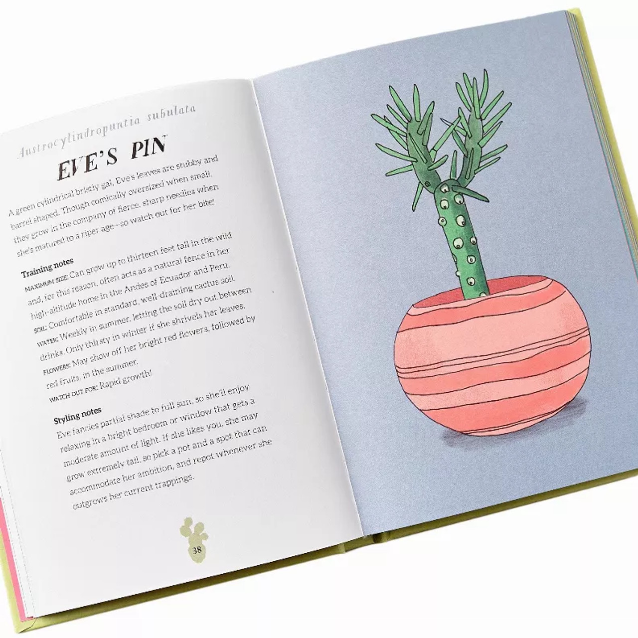 Book - How to Train Your Cactus Book - How to Train Your Cactus