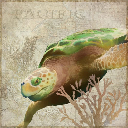 Sea Turtle Pacific by Cora Niele, Framed Wall Art