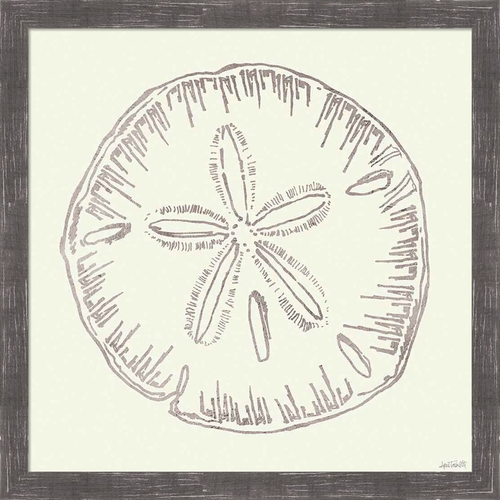 Coastal Breeze Shell Sketches IV Silver by Anne Tavoletti, Framed Wall Art