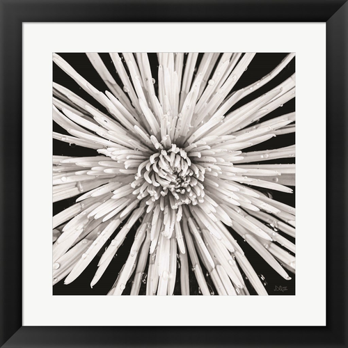 Black and White Love by Donnie Quillen, Framed Art