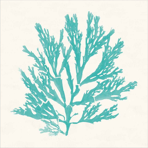 Pacific Sea Mosses I Aqua by Wild Apple Portfolio, Framed Wall Art