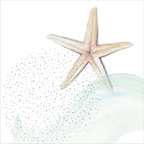 Turquoise Ocean Treasure Star by Patricia Pinto, Canvas Art