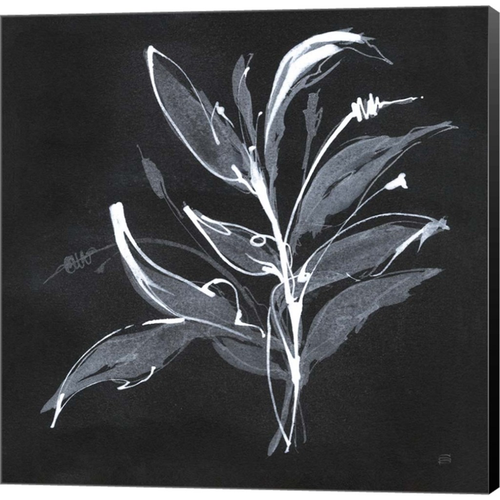 Chalkboard Branch I by Chris Paschke, Canvas Art - C1090960-0240000-8CAAAMA
