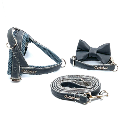 Shadow One-click dog harness - PuccissimePet000267