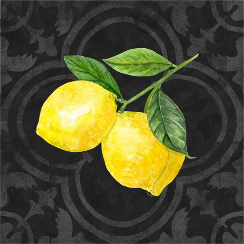 Live with Zest III by Tara Reed, Canvas Art - C1080372-0240000-8CAAAMA