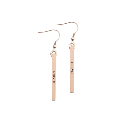 Solid Stainless Steel Inspirational Bar Earrings - PinkBox-25-4082
